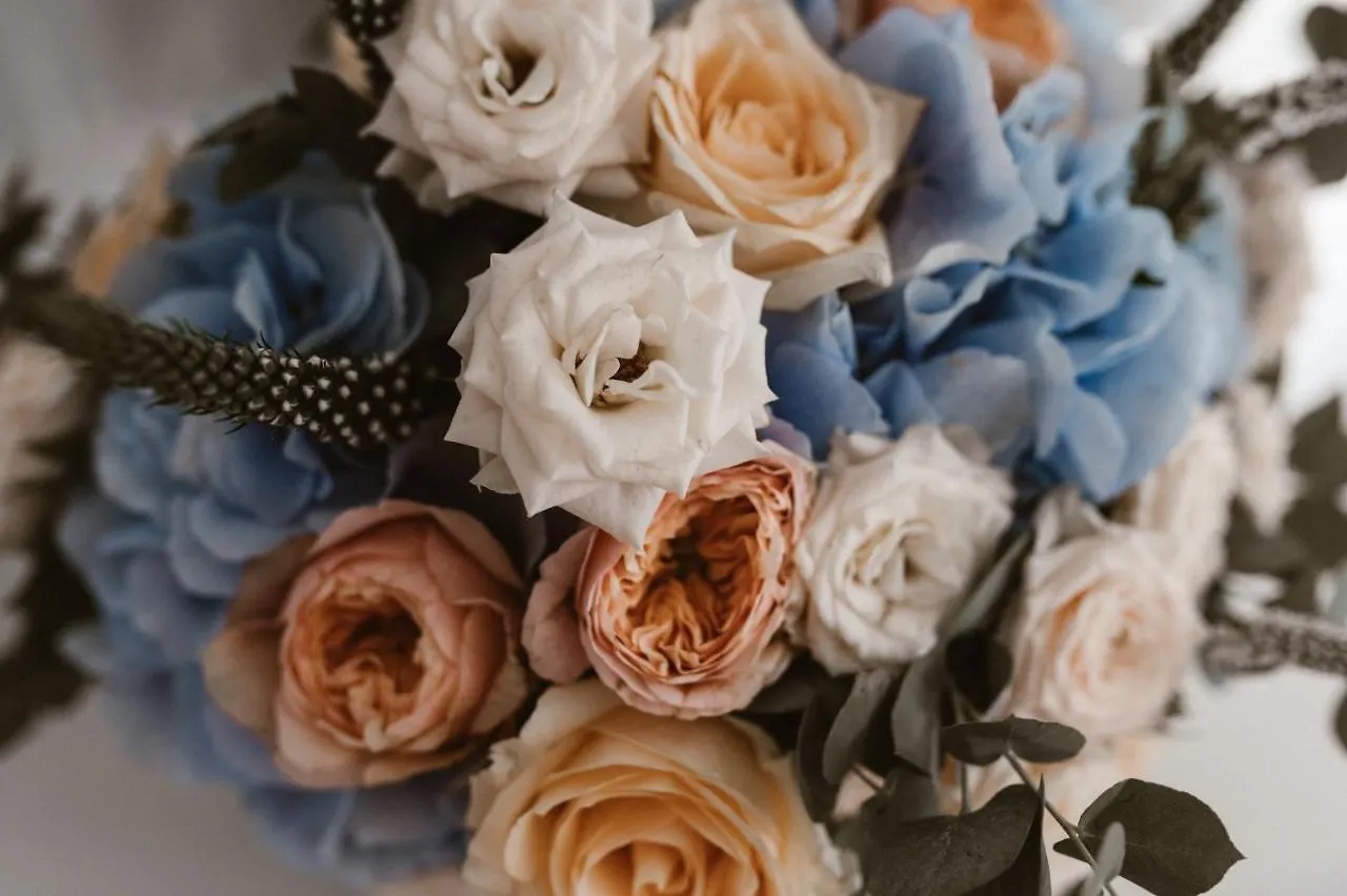 Oikos Boutique Residences Plateies ギリシャ